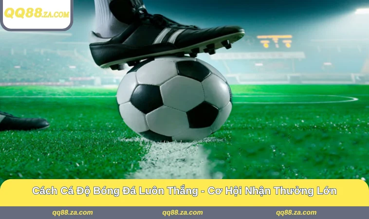 Cách Cá Độ Bóng Đá Luôn Thắng