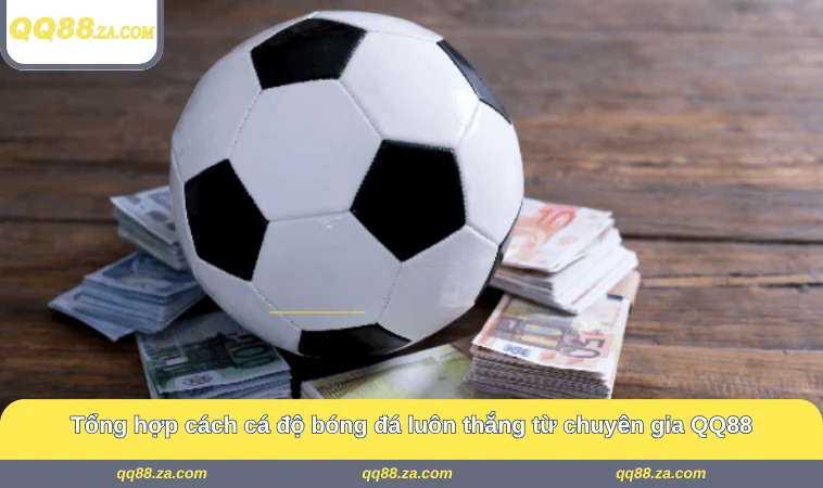 Tổng hợp cách cá độ bóng đá luôn thắng từ chuyên gia QQ88
