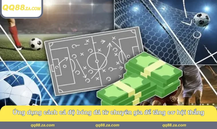 Ứng dụng cách cá độ bóng đá từ chuyên gia để tăng cơ hội thắng
