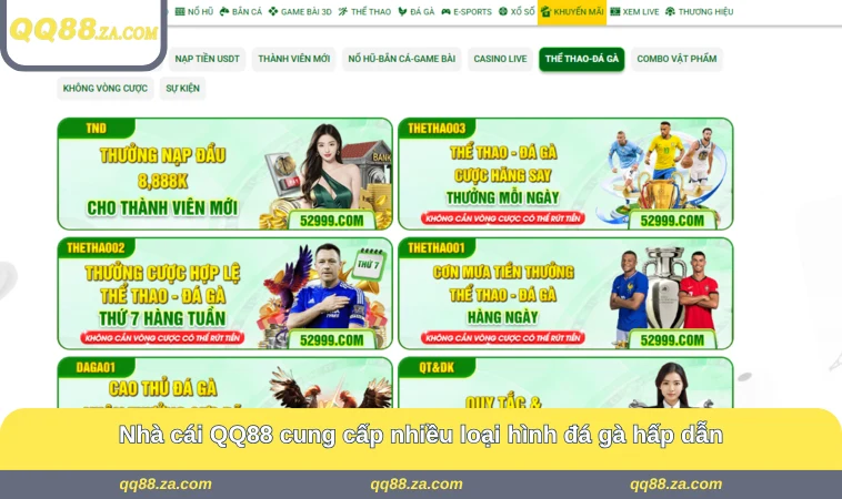 Nhà cái QQ88 cung cấp nhiều loại hình đá gà hấp dẫn