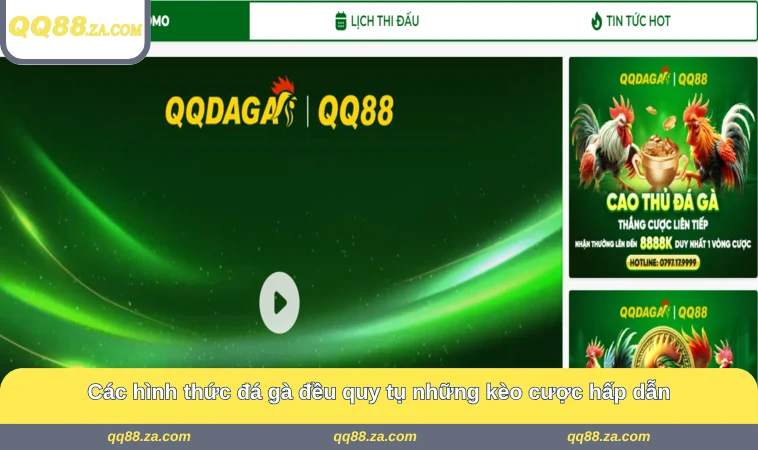 Các hình thức đá gà đều quy tụ những kèo cược hấp dẫn