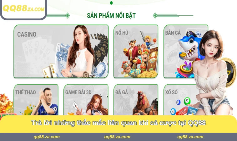 Trả lời những thắc mắc liên quan khi cá cược tại QQ88