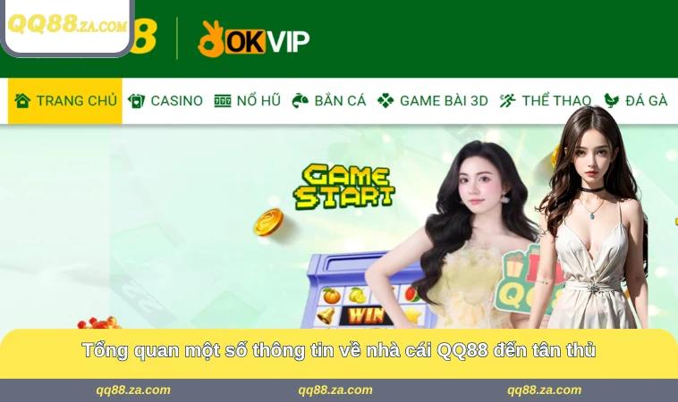 Tổng quan một số thông tin về nhà cái QQ88 đến tân thủ